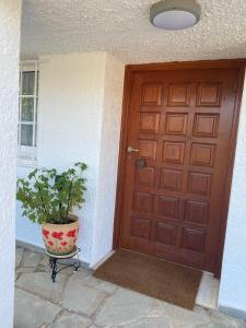 a door with a potted plant in front of it at Agapis Residence in Kalívia Thorikoú