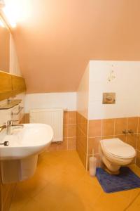 赫拉德茨－克拉洛韋的住宿－斯梅坦努斯塔特科賓館，一间带卫生间和水槽的浴室