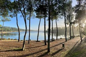 Fotografia z galérie ubytovania Charmant appartement au coeur du Penon - océan, forêt, lac, surf v destinácii Seignosse