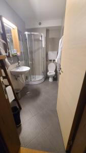 a bathroom with a shower and a toilet and a sink at Kolakovic in Brzeće