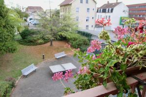 Zdjęcie z galerii obiektu AUBERGE DE JEUNESSE w mieście Colmar