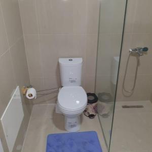 ein Badezimmer mit einem WC, einer Dusche und einem blauen Teppich in der Unterkunft Fush Kosov Apartment Center in Kosovo Polje