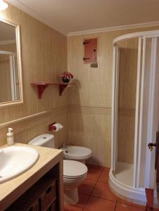 a bathroom with a toilet and a sink and a shower at Apartamentos El Brezo in Albarracín
