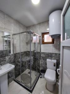 a bathroom with a shower and a toilet and a sink at Eleon Motel in Brezovica +24 photos