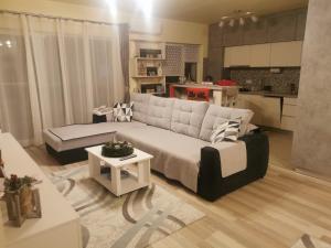 a living room with a couch and a kitchen at Matei Residence in Sibiu