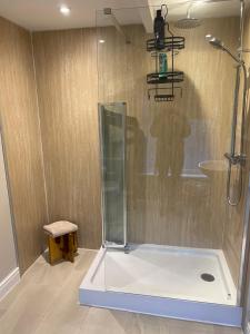 uma cabina de duche na casa de banho com WC em Flat 2, 22 the square centre of Dalston village em Dalston