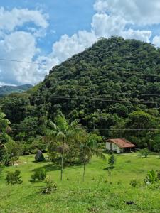 ein Hügel mit einem Haus auf einem Feld mit Bäumen in der Unterkunft La Perla Negra - Black Pearl Eco Hostel in San Rafael