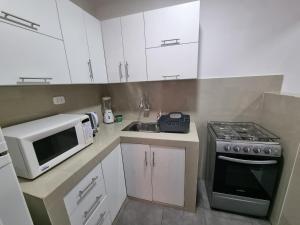 Kuchyň nebo kuchyňský kout v ubytování Hotel-Apartment INKASABIOS