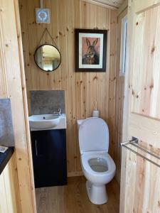 a bathroom with a toilet and a sink and a mirror at Shepherd Hut in Warwick