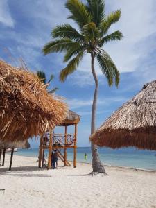 a palm tree and a hut on a beach at Casa Monik, a dos pasos de la Playa in Cancún