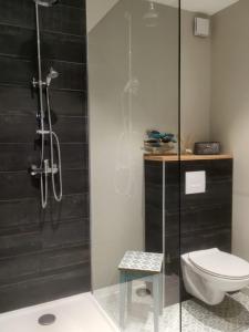 a bathroom with a toilet and a glass shower at Le Logis des Mariniers in Chalonnes-sur-Loire