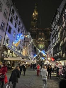 Eine Gruppe von Leuten, die mit Weihnachtslichtern auf einer Straße spazieren in der Unterkunft ZEN-ITUDE in Straßburg