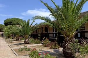 une rangée de palmiers devant un bâtiment dans l'établissement Golfo di Maremma Village, à Albinia