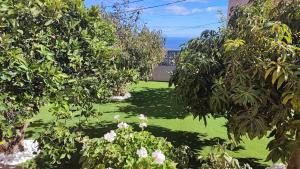 um jardim com relva verde, árvores e flores em Villa Rosa em Barranco Hondo