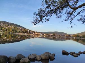 widok na jezioro z kamieniami w wodzie w obiekcie Fête des jonquilles w mieście Gérardmer