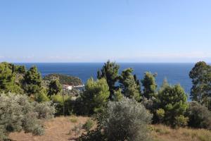 a view of the ocean from a hill with trees at Pelagos in Stafylos