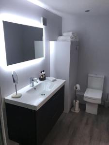 W łazience znajduje się umywalka, toaleta i lustro. w obiekcie Fosse Paddock Country Studio 1 - Free Parking w Nottingham