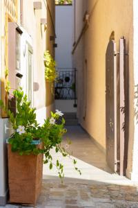 Une allée avec un pot de fleurs et une porte dans l'établissement Civiconove Affittacamere, à Gradara