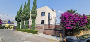 una casa con recinzione e fiori viola di CASONA 46 LUXURY STUDIOS a Città del Messico