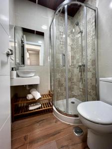 y baño con ducha, aseo y lavamanos. en Apartamentos Rey, en Córdoba