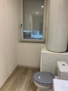een witte badkamer met een toilet en een raam bij Appartement 1er Etage 42m2 hyper centre ville / parking gratuit in Riom