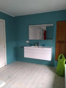 een badkamer met een witte wastafel en een spiegel bij gezellig vakantiehuis te Maissin in Maissin