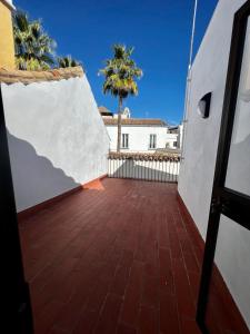 un patio con una valla y una palmera en Apartamentos Rey, en Córdoba