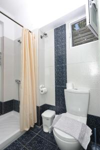 a bathroom with a toilet and a tub and a shower at Pelagos in Stafylos