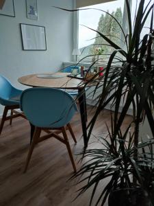a dining room table with a blue chair and a plant at Gemütliches Studio mit Ausblick, Pool und WiFi in Baiersbronn