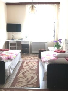 Sala de estar con 2 camas y TV en Melinda Apartman, en Kaposvár