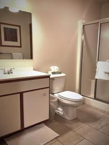 a bathroom with a toilet and a sink and a shower at Village Inn on the Lake in Two Rivers