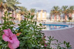 Basen w obiekcie Casa Antonia con jacuzzi privado y solarium lub w pobliżu