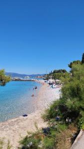 eine Gruppe von Menschen am Strand im Wasser in der Unterkunft Apartment by AntunovicWinery in Trpanj