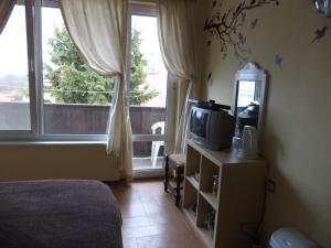 a bedroom with a bed and a tv and a window at Elbarr Rogachevo in Rogachevo