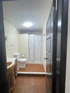 W łazience znajduje się toaleta, umywalka i prysznic. w obiekcie POUSADA VISTA CHINESA w mieście Rio de Janeiro