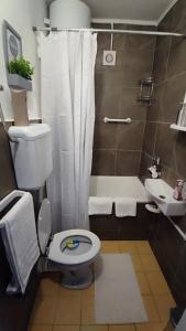 W łazience znajduje się toaleta, prysznic i umywalka. w obiekcie Studio apartman Bruna w mieście Ðakovo