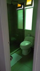 La salle de bains verte est pourvue de toilettes et d'une douche. dans l'établissement Hostal La Cestería Pueblito Boyacense, à Duitama