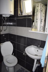 a bathroom with a toilet and a sink at Apartmani Gočki San in Biserske Kuće