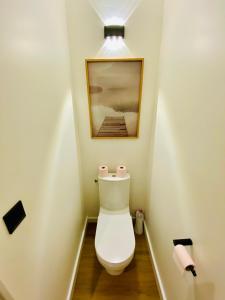 a bathroom with a toilet with a picture on the wall at Le doux refuge - 50m2 flat in the heart of Orleans in Orléans