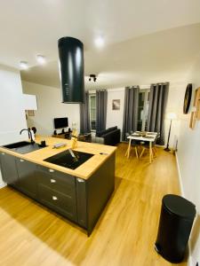 Kuchyňa alebo kuchynka v ubytovaní 50m2 flat in heart of Orleans - Canal Foot & Bein