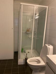 a bathroom with a shower with a toilet and a sink at Kongens Apartment St Joseph in Kristiansand