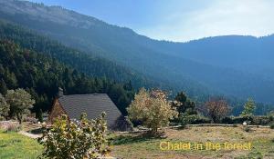 a house in a field with a mountain in the background at Chalet in the Forest in Kalavrita