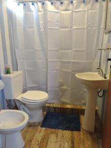 a bathroom with a toilet and a sink at Cabañas Ventalia in El Calafate