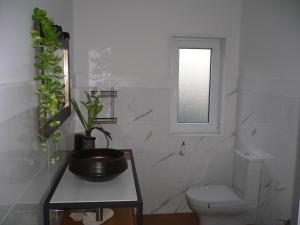 a white bathroom with a toilet and a window at Maria João in Paredes de Coura +9 photos
