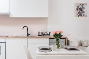 Kuchyňa alebo kuchynka v ubytovaní Ślusarska Apartment 2