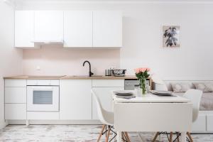 Kuchyňa alebo kuchynka v ubytovaní Ślusarska Apartment 2