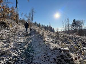 een persoon die een hond uitlaat op een met sneeuw bedekt pad bij Haus am See in Bad Sachsa