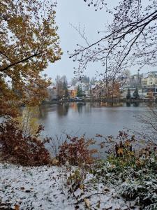 a view of a river with snow on the ground at Haus am See in Bad Sachsa