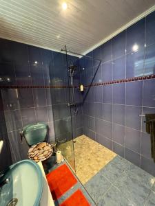 ein Bad mit einer Dusche, einem WC und einem Waschbecken in der Unterkunft Poseidon in Le Lamentin