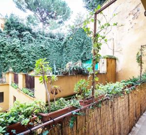 ローマにあるDomus Montiの塀の鉢植え庭園